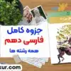 بهترین جزوه فارسی دهم